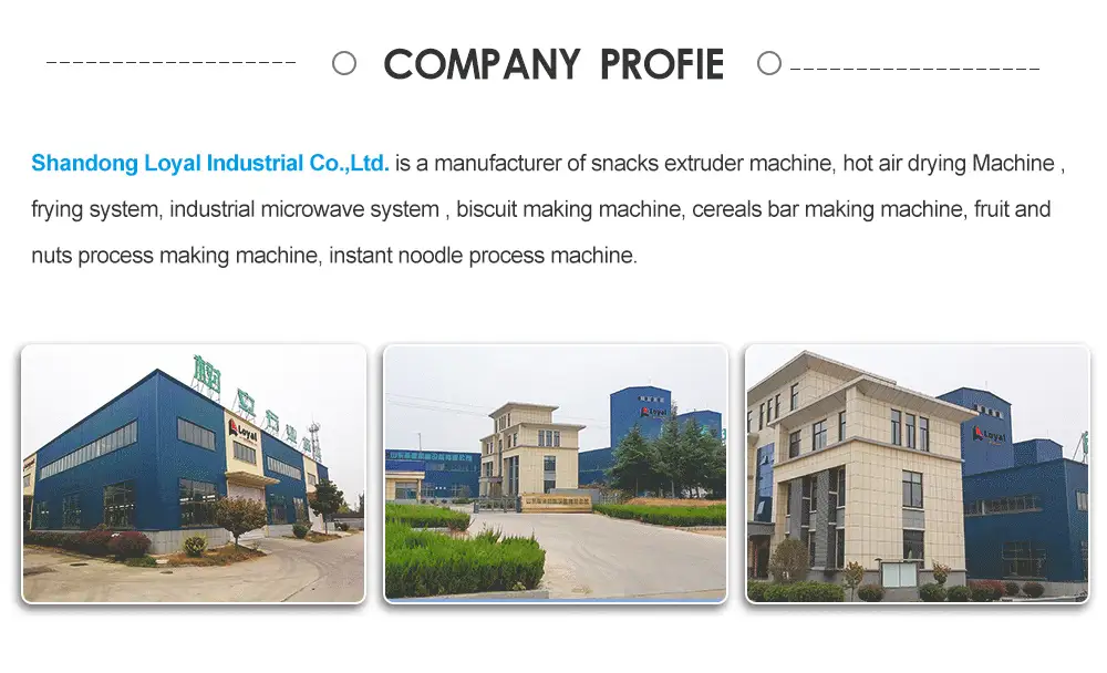 Introduction Of Shandong Loyal Industrial Co.,Ltd.