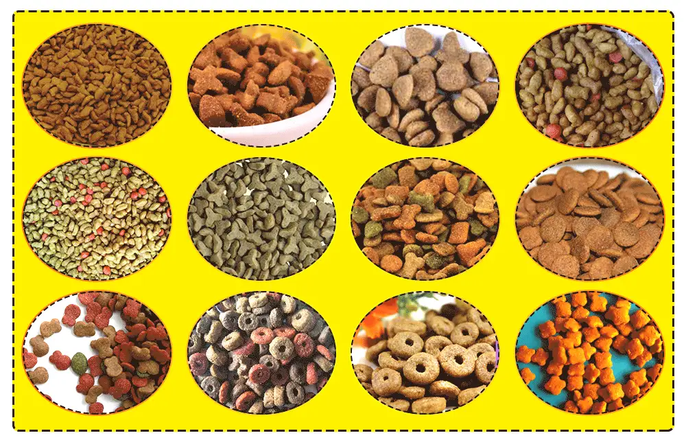 APPLICATIONS OF STAINLESS STEEL PET FOOD PROCESSING LINE