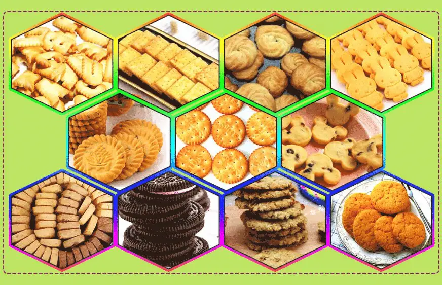 Sample of the Automatic Biscuit Machine Industrial Biscuit Making Machine 