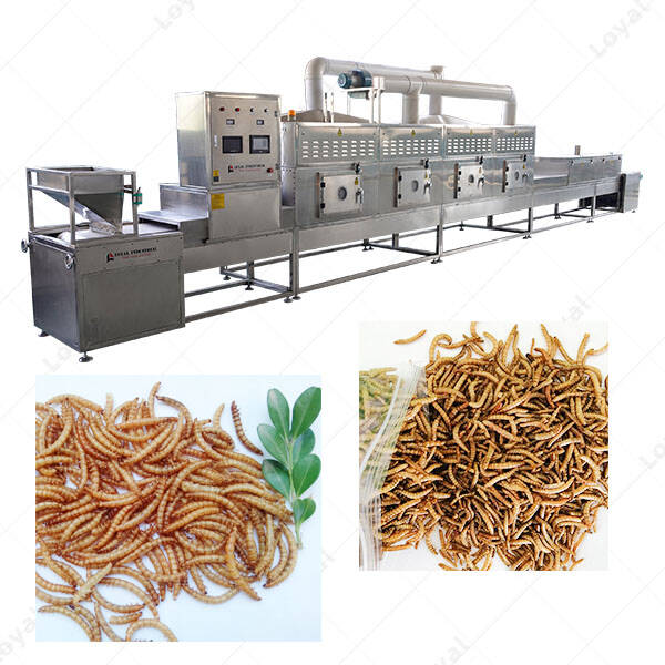 Tenebrio Mealworm Insect Microwave Drying Sterilization Machine