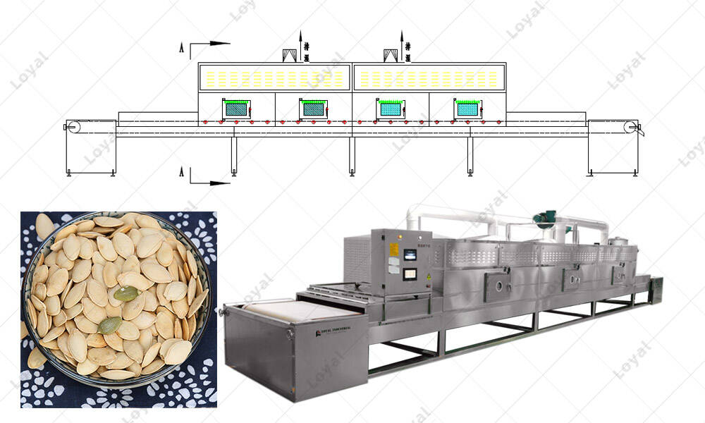 CAD of ndustrial Microwave Dryer For Baking Pumpkin Seeds