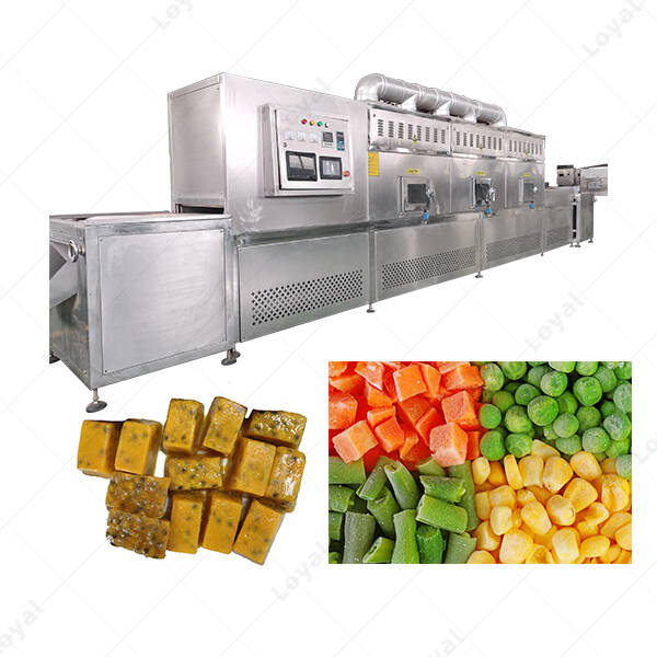 PLC Control Industrial Microwave Frozen Fruit Thawing Machine
