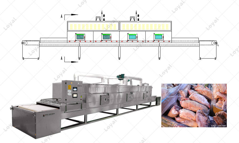 CAD of Industrial Microwave Defrosting processing line