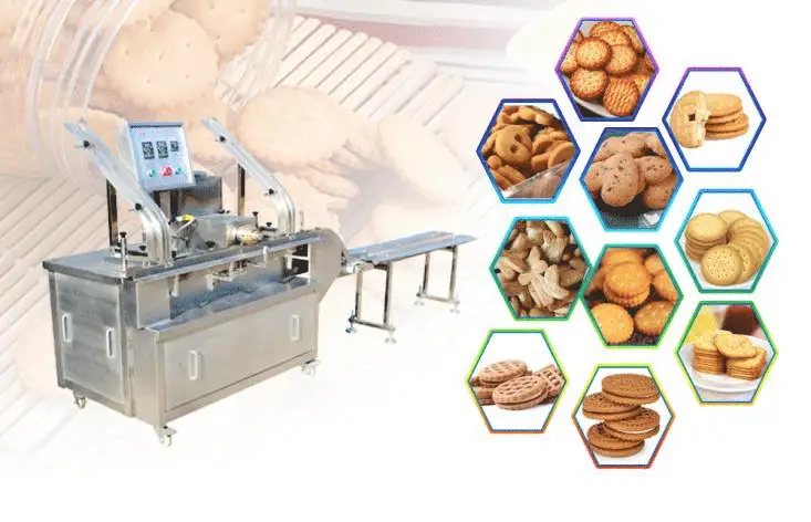 304 Stainless Steel Complete Biscuit Production Line for Walnut Cake Biscuits