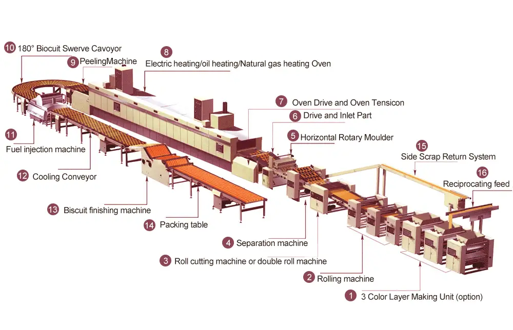 COMPLETE BISCUIT PRODUCTION LINE FOR WALNUT CAKE BISCUITS FLOW CHART