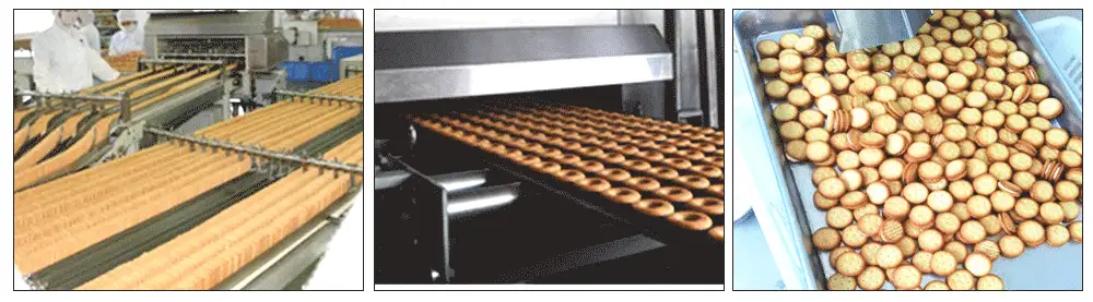 VEGETABLE COOKIES/SANDWICH BISCUIT MACHINE 220V/380V WITH SIEMENS MOTOR