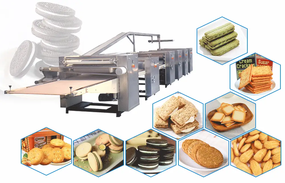 304 Stainless Steel Complete Biscuit Production Line for Walnut Cake Biscuits