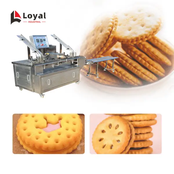 Vegetable Cookies/Sandwich Biscuit Machine 220V/380V With Siemens Motor