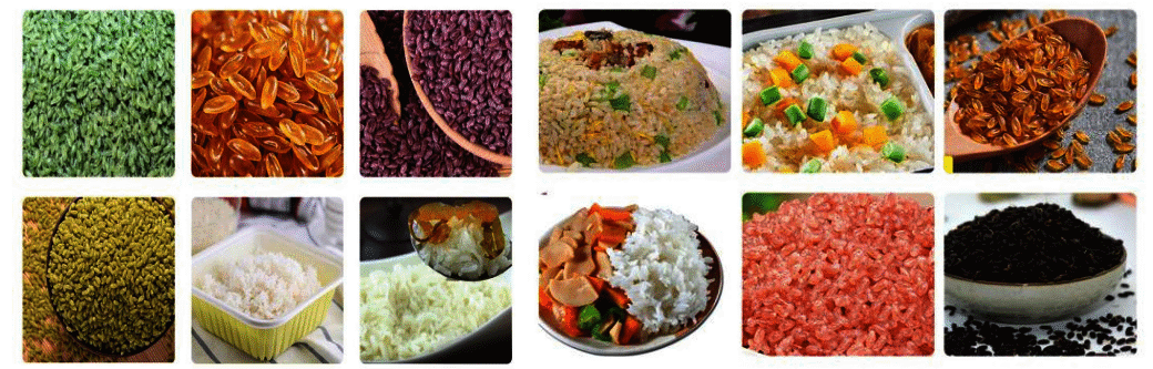 Sample of the artificial rice extruder machine