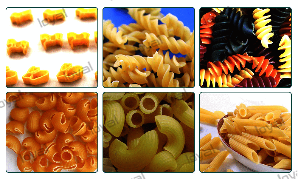 Sample Of Pasta Macaroni Making Machine