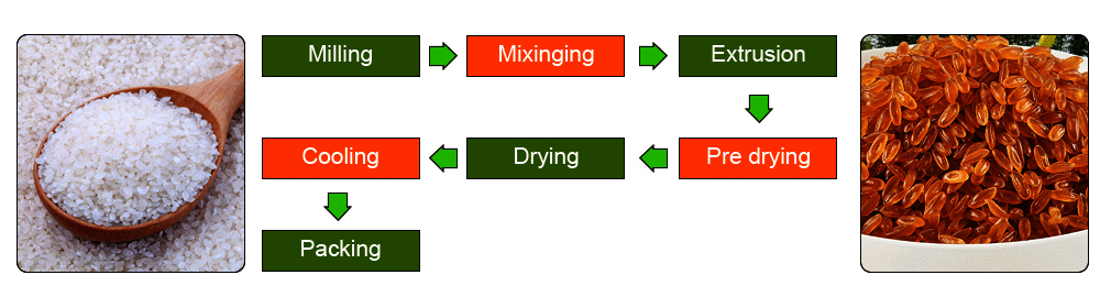 Flow Chart of Fortified Rice Production Line