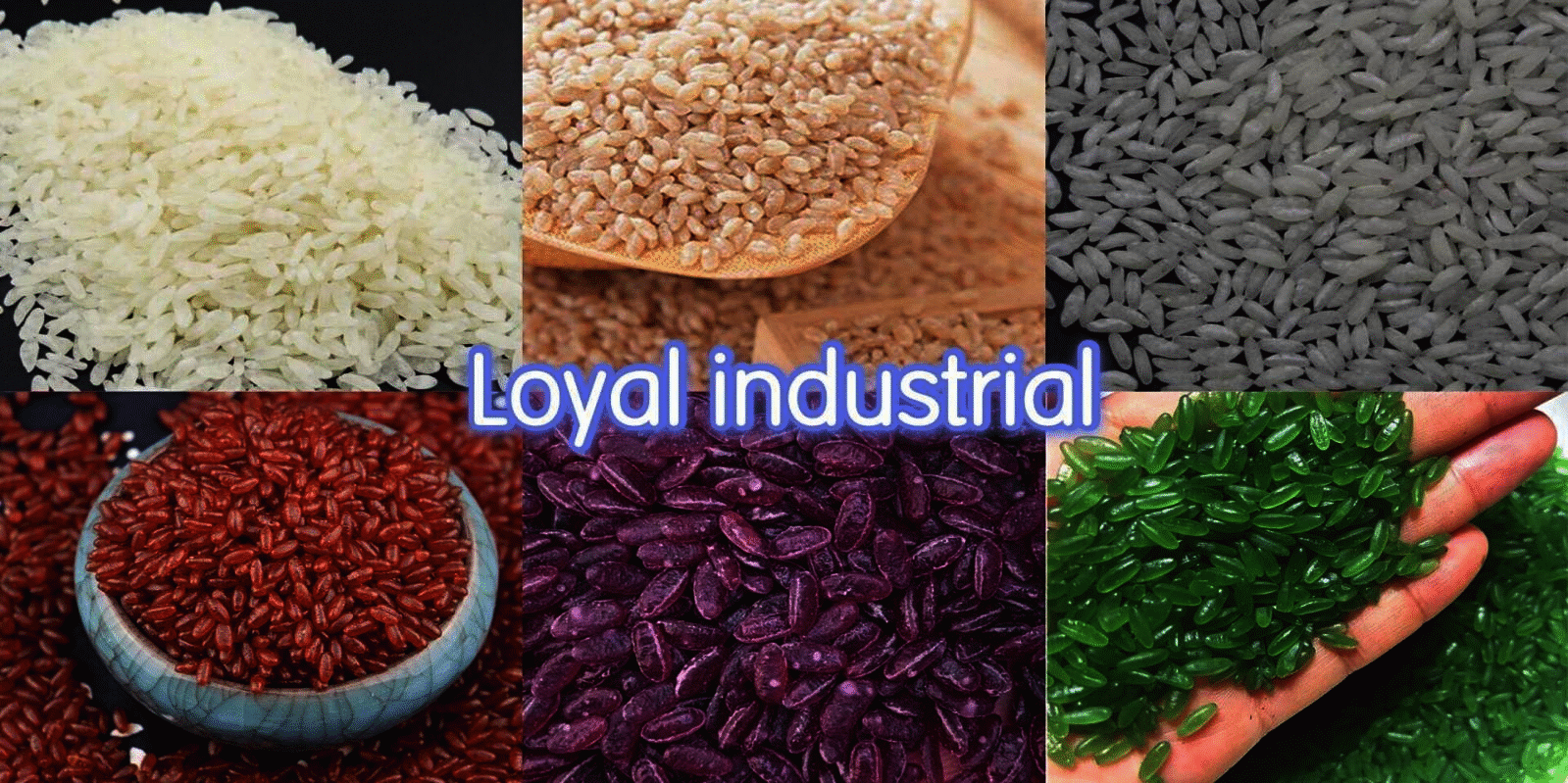 Sample of the artificial rice extruder machine