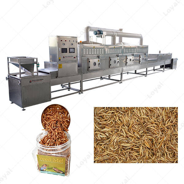 Tenebrio Mealworm Insect Microwave Drying Sterilization Machine