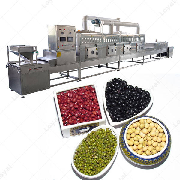 Tunnel Microwave Drying Sterilizing Machine for Grain Millet Mung Beans Buckwheat Red Beans