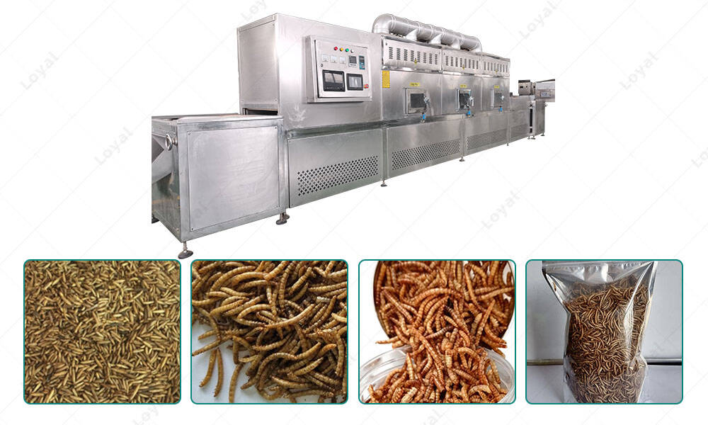 Application of Tenebrio Mealworm Insect Microwave Drying Sterilization Machine