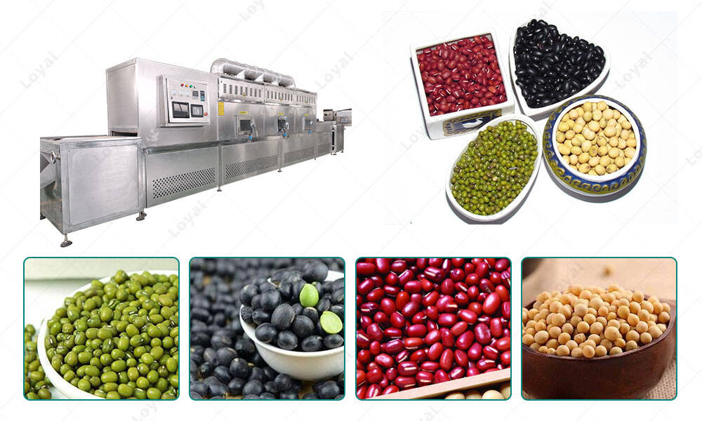 Application of Tunnel Microwave Drying Sterilizing Machine for Grain Millet Mung Beans Buckwheat Red Beans