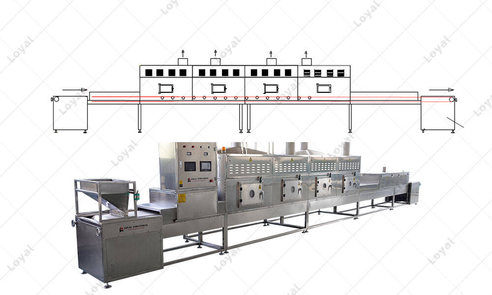 Tenebrio Mealworm Insect Microwave Drying Sterilization Machine Layout