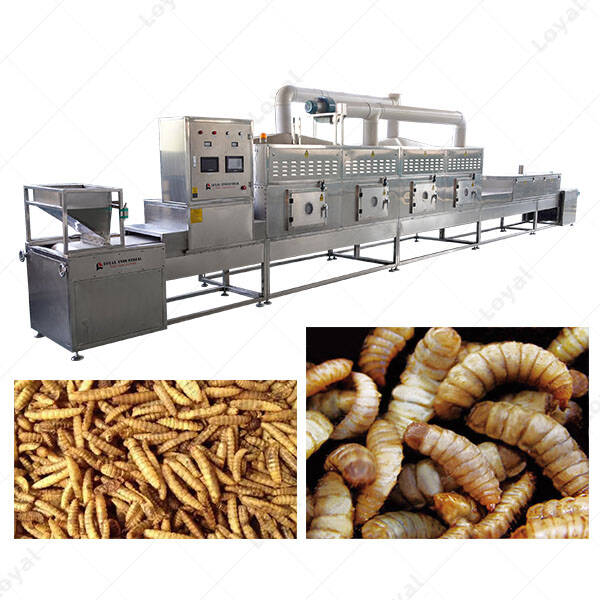 Conveyor Belt Type Black Soldier Fly Larvae Microwave Drying Machine