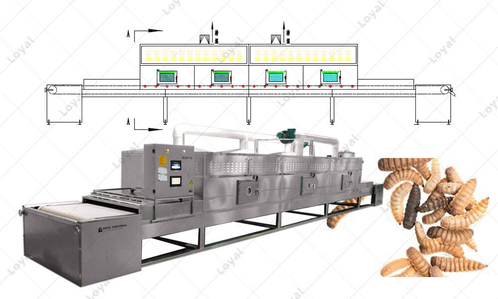 Detail of Industrial Conveyor Belt Type Microwave Oven For Black Soldier Fly Larvae Layout