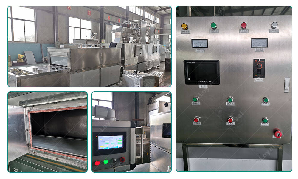 Application of Detail of Industrial Conveyor Belt Type Microwave Oven For Black Soldier Fly Larvae processing