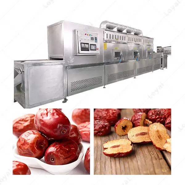 PLC Industrial Microwave Date Drying Sterilizing Machine