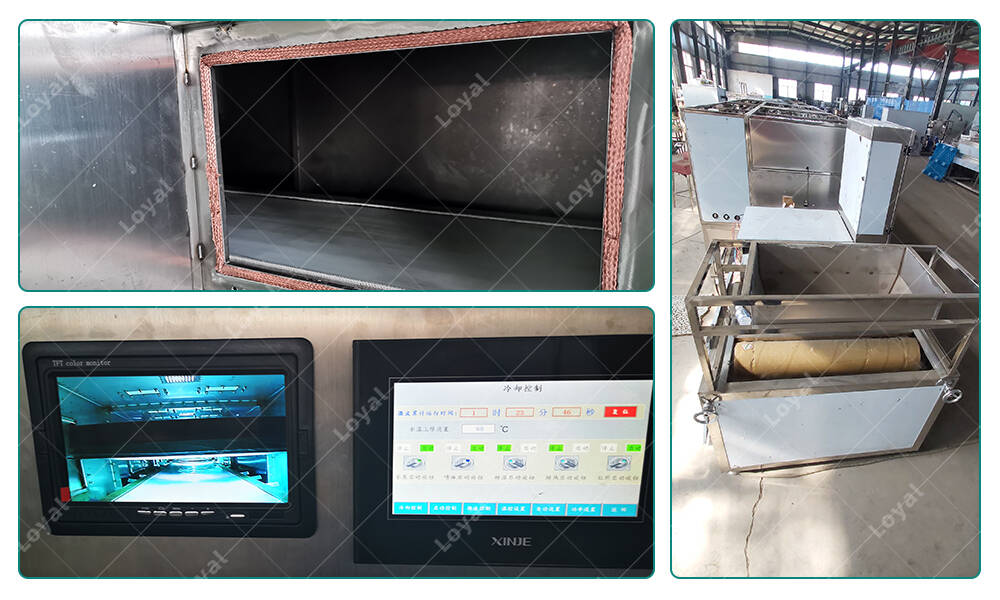 Detail of Industrial Microwave Date Drying Sterilizing Machine in Manufacturing Plant