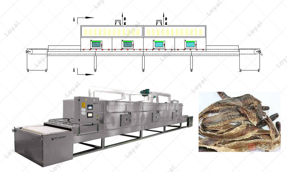 Layout of Microwave Insect Earthworm Tunnel Dehydrator Drying Machine