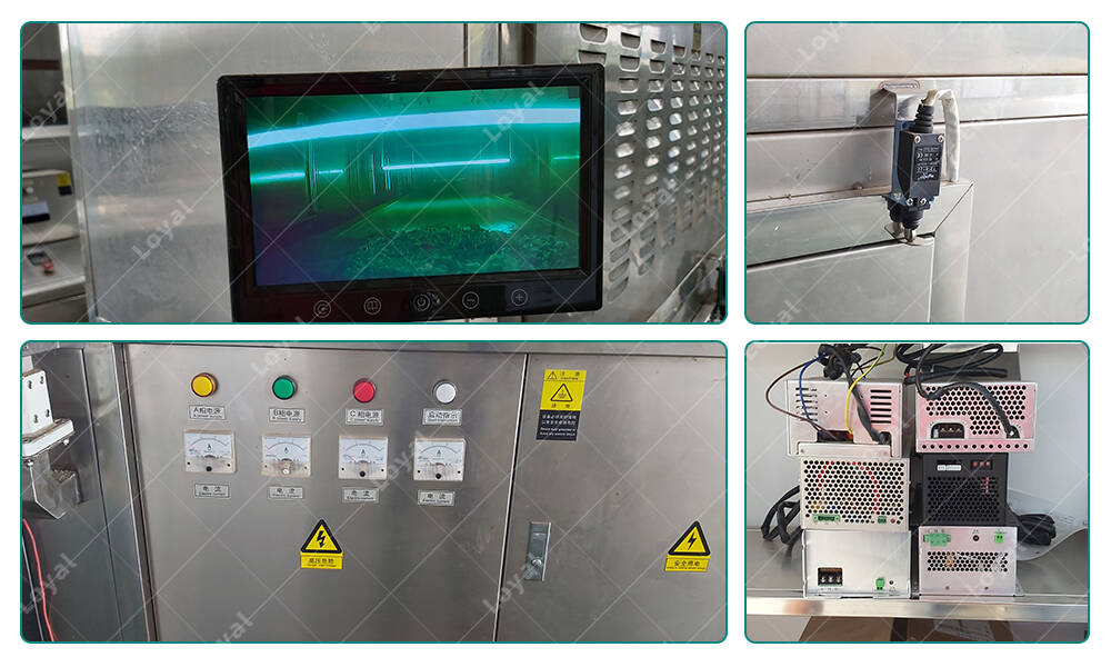 Detail of Layout of Microwave Insect Earthworm Tunnel Dehydrator Drying Machine in Workshop