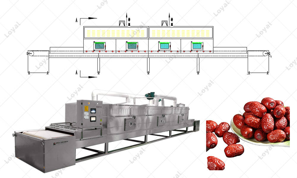 CAD of  Industrial Microwave Date Drying Sterilizing Machine in factory 