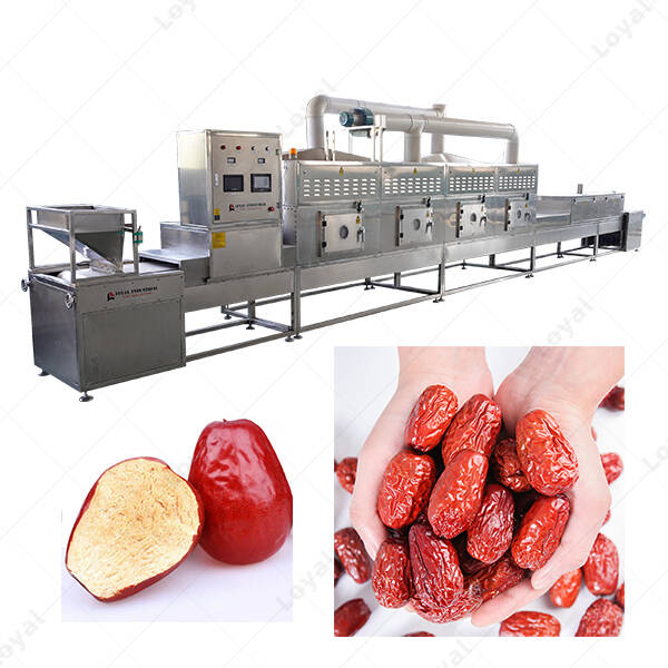PLC Industrial Microwave Date Drying Sterilizing Machine