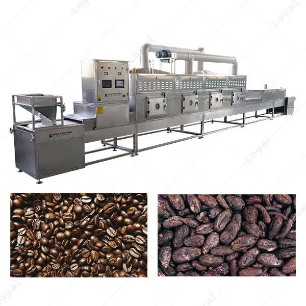 PLC Control Conveyor Mesh Belt Dryer Cocoa Beans Microwave Drying Machine