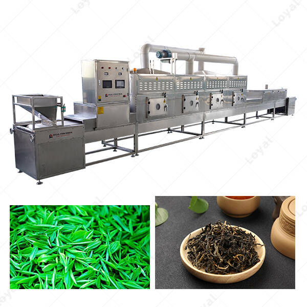 Industrial Belt Type Microwave Dryer Microwave Drying Machine For Herbs Leaves Tea