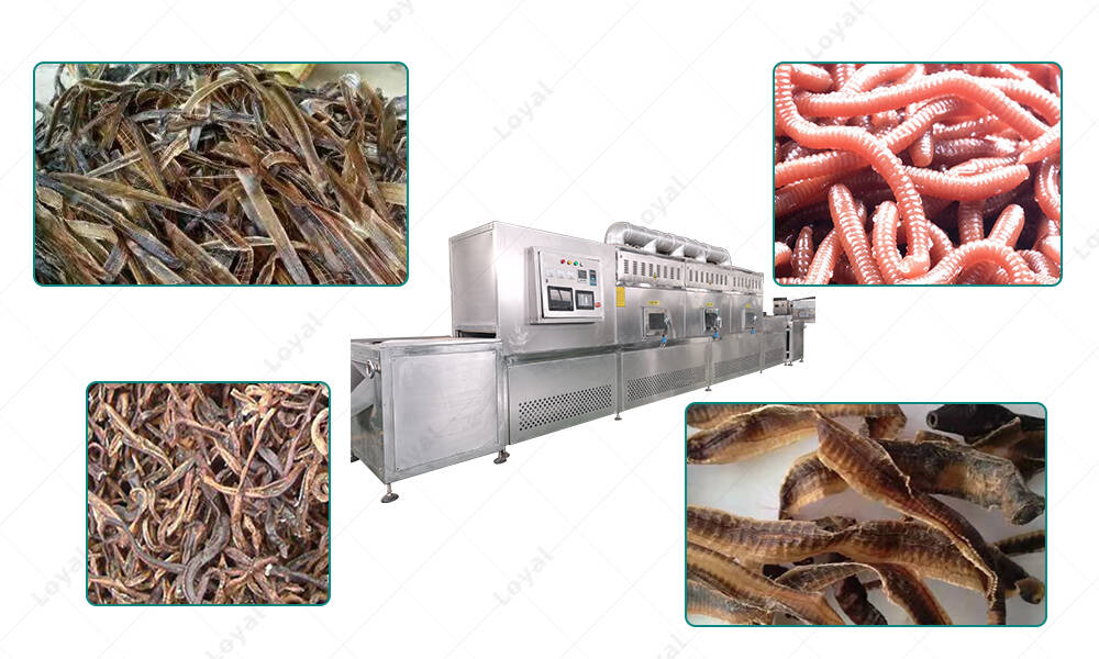 Application of Microwave Insect Earthworm Tunnel Dehydrator Drying Machine in manufacturer