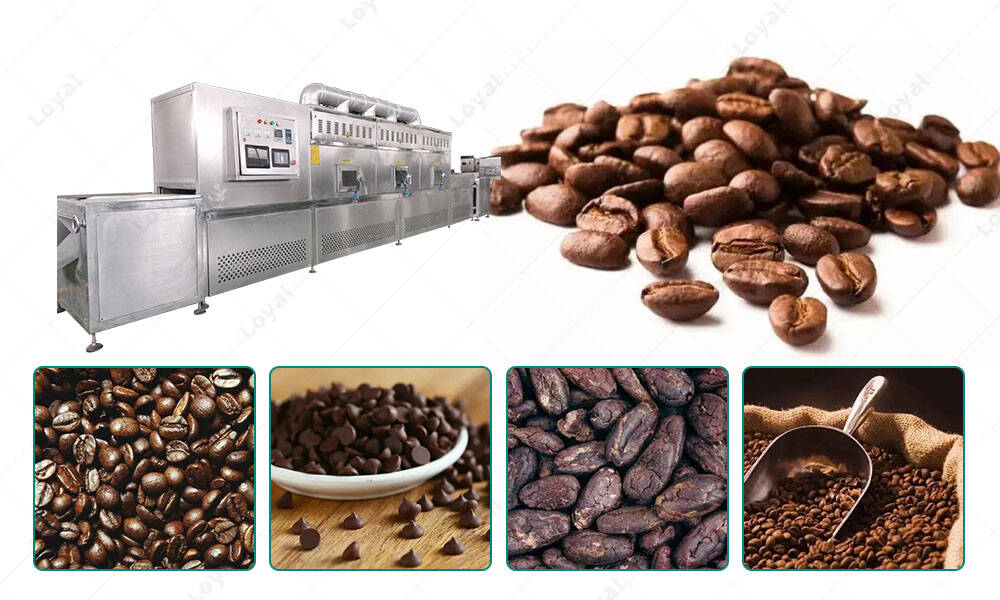 Application of Cocoa Beans Microwave Drying Machine