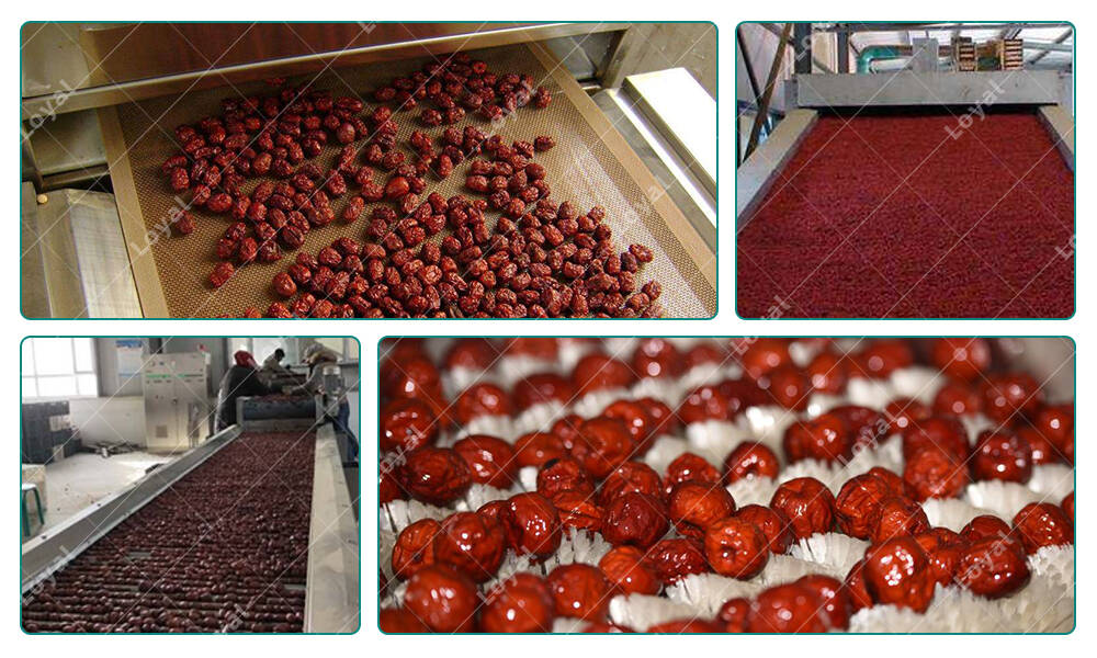Industrial Microwave Date Drying Sterilizing Machine in in Production Workshop