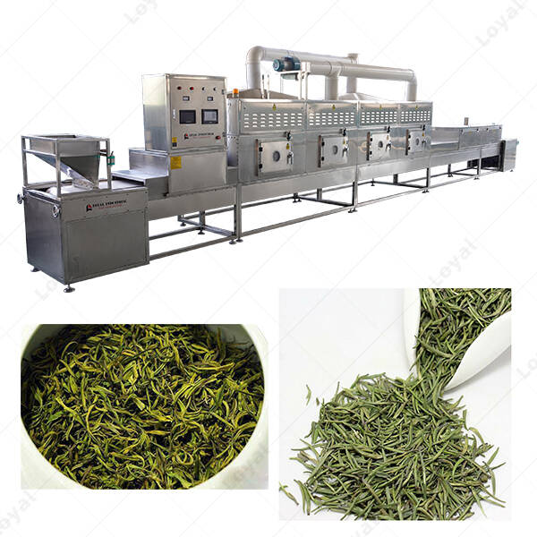 Industrial Belt Type Microwave Dryer Microwave Drying Machine For Herbs Leaves Tea