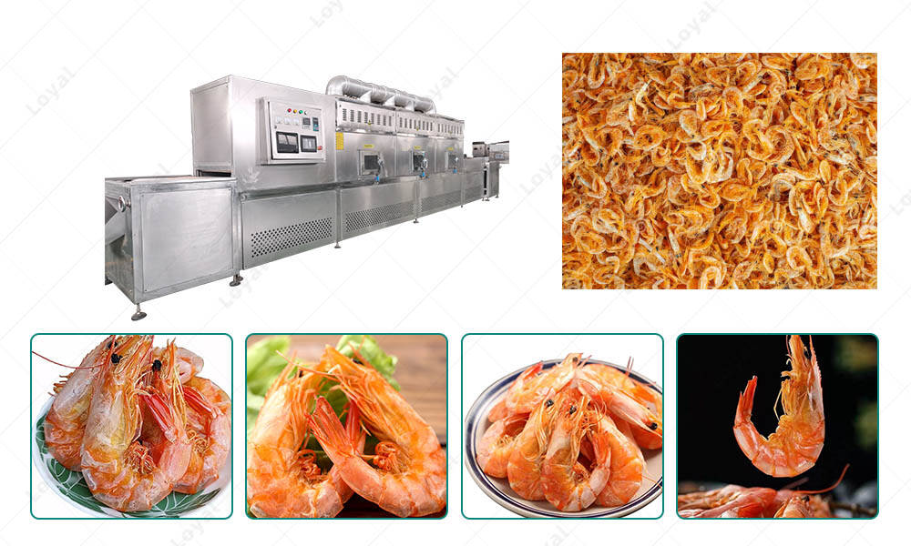 Shrimp for 60Kw High Quality Industrial Continuous Microwave Drying Machine