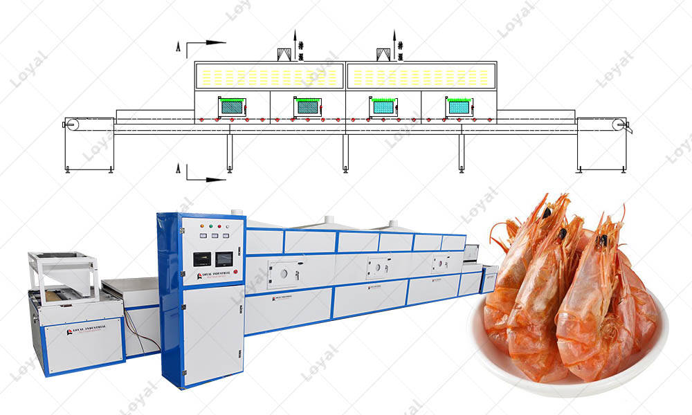CAD OF 60Kw High Quality Industrial Continuous Microwave Drying Machine