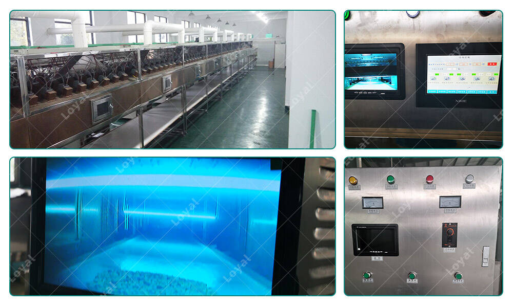  Tunnel Continuous Microwave Puffed Prawn Cracker Microwave Machine In Production Workshop 