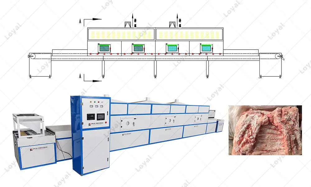 CAD of Tunnel Microwave Frozen Meat Mutton Processing Thawing Machine 