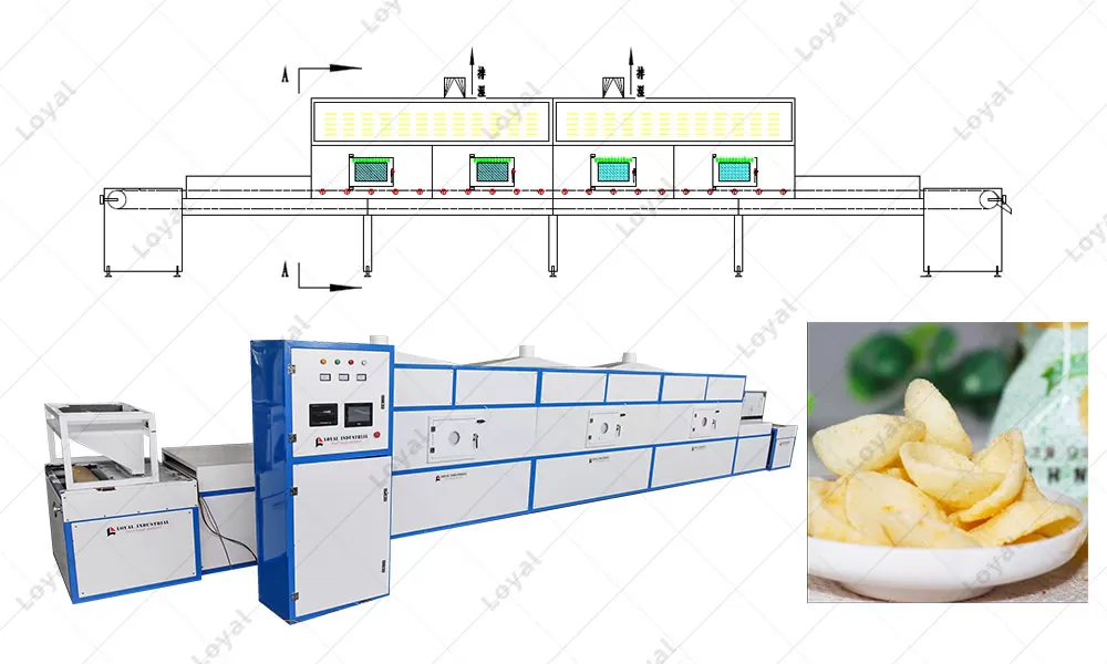 CAD OF Automatic Industrial Tunnel Continuous Microwave Puffed Prawn Cracker Microwave Machine In Manufacturer