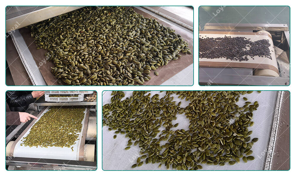 Industrial Microwave Dryer For Baking Pumpkin Seeds in Customer's factory
