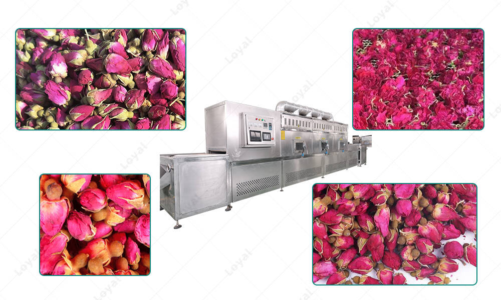 Application Of Rose Petal Microwave Flower Drying Machine