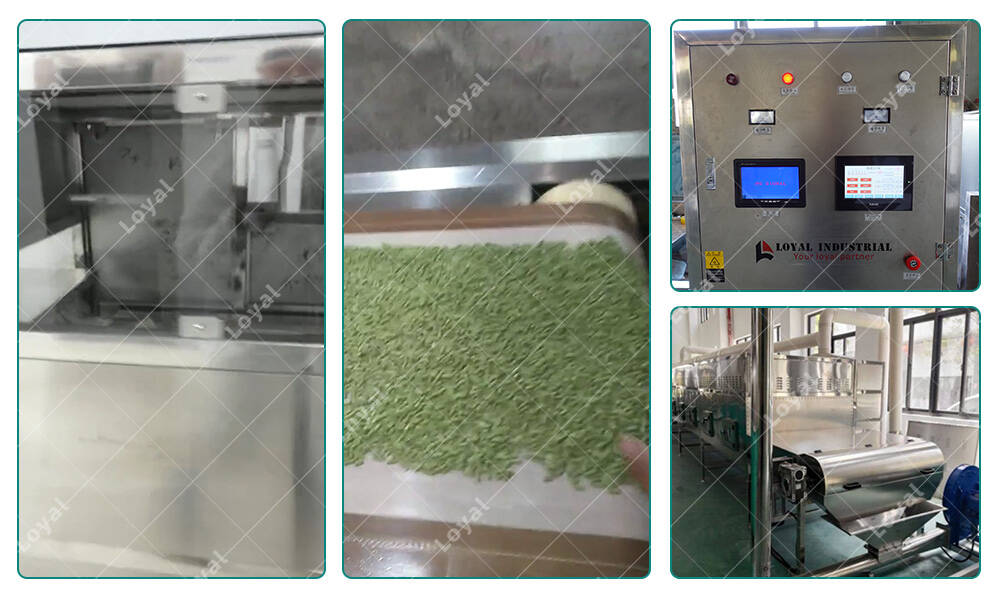    Automatic Industrial Tunnel Tofu Crystal Cats Litter Microwave Sterilizing Drying Machine Professional Microwave Technology Team