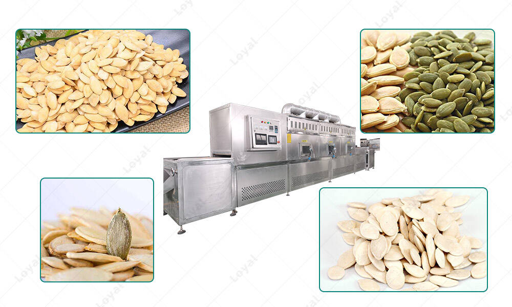 Application Of Industrial Microwave Dryer For Baking Pumpkin Seeds