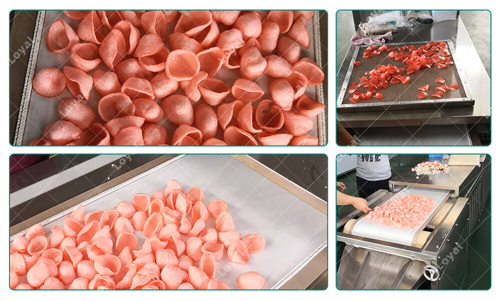 Sample Puffed Prawn Cracker Microwave Automatic Industrial Tunnel Continuous Microwave Machine