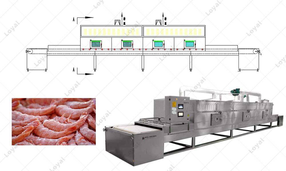 CAD Of Microwave Thawing and Sterilization Machine for Seafood
