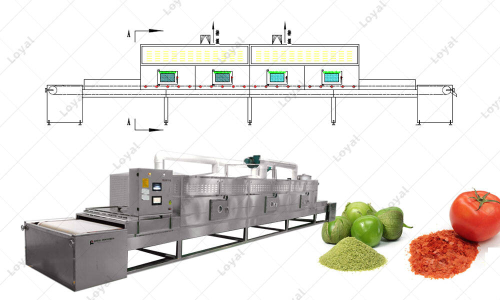 CAD of Continuous Dehydrated Vegetables Powder Microwave Sterilization Machine