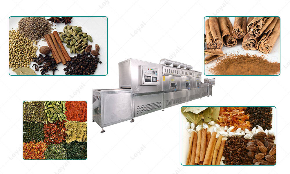 Application of Tunnel seasoning Microwave Dryer Condiment Sterilization Equipment