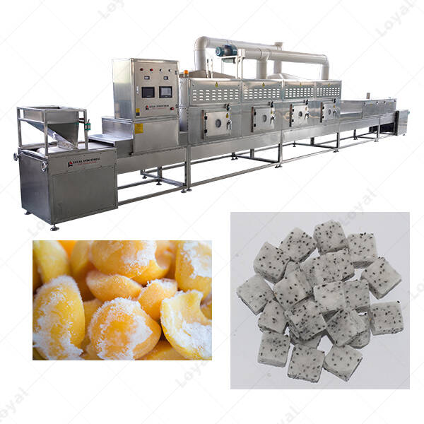 PLC Control Industrial Microwave Frozen Fruit Thawing Machine